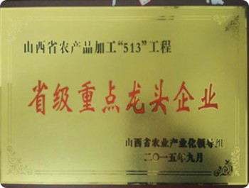 省級重點龍頭企業(yè)